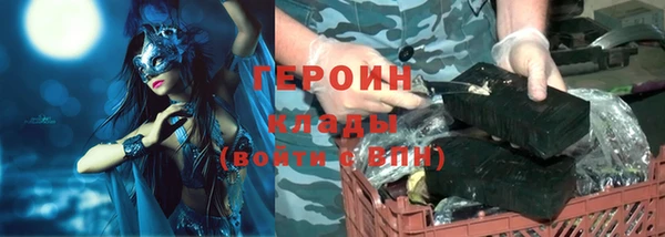 индика Алексин