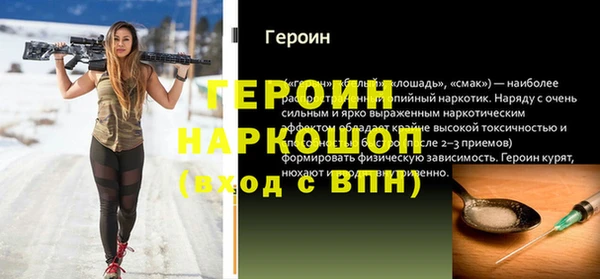 индика Алексин