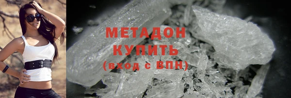индика Алексин