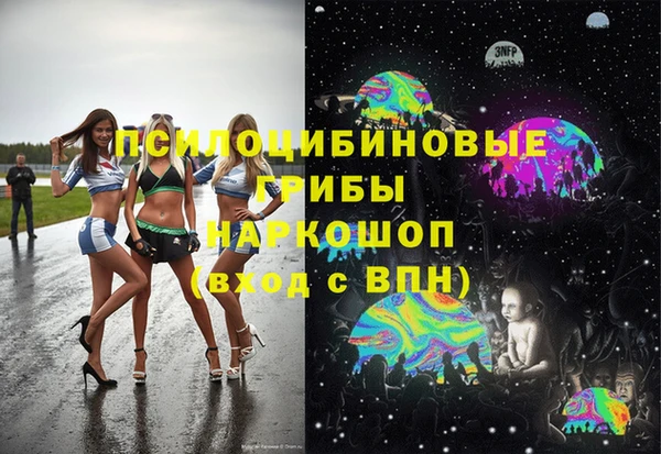 индика Алзамай