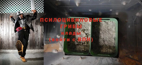 индика Алексин