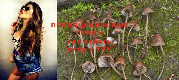 индика Алзамай