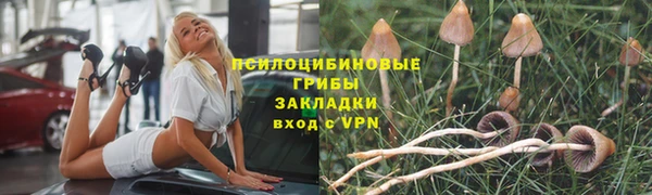 тгк Пролетарск