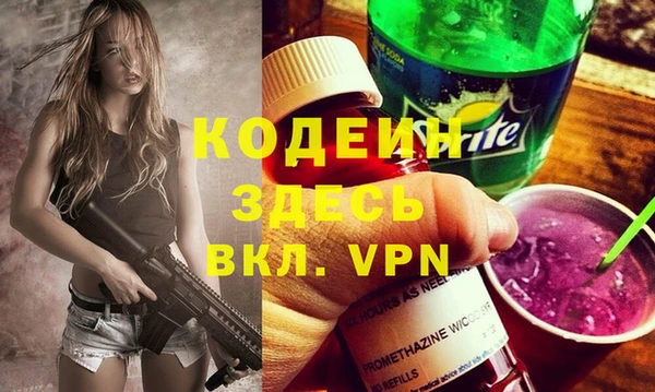 индика Алексин