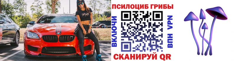Галлюциногенные грибы Cubensis  закладки  Ардон 